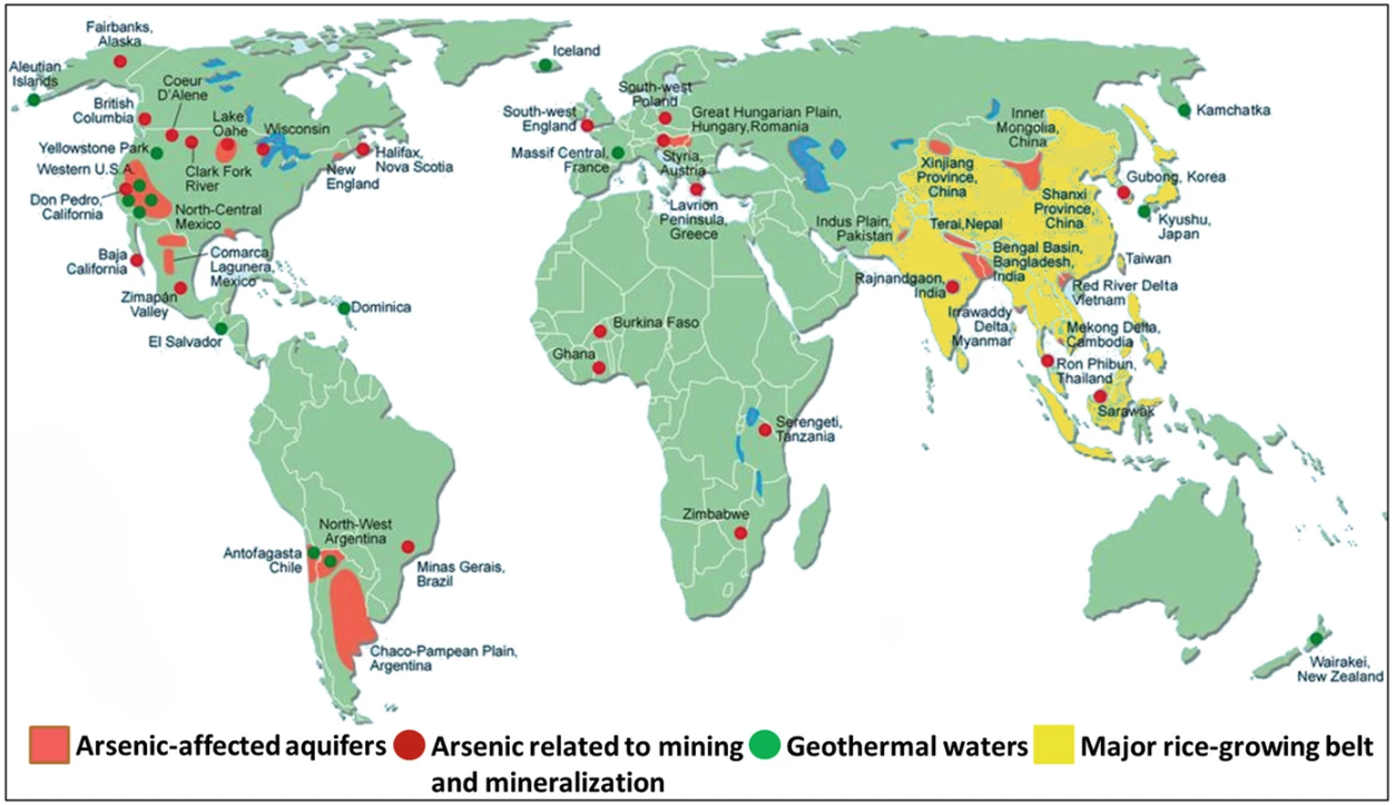 Global overlap of arsenic-affected environments and rice-growing regions
